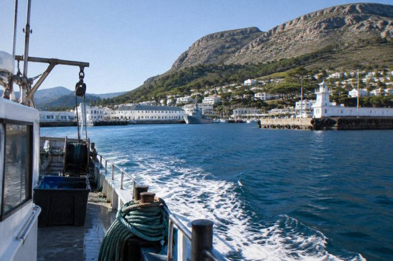 False Bay Open-Water Shark Dive