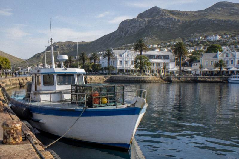 African Shark Eco-Charters, Simon's Town