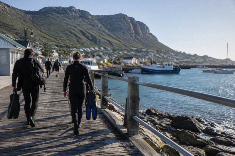Apex Shark Expeditions, False Bay