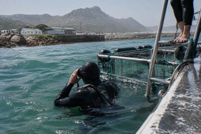 Shark Zone, Cape Town Add-On Pickup