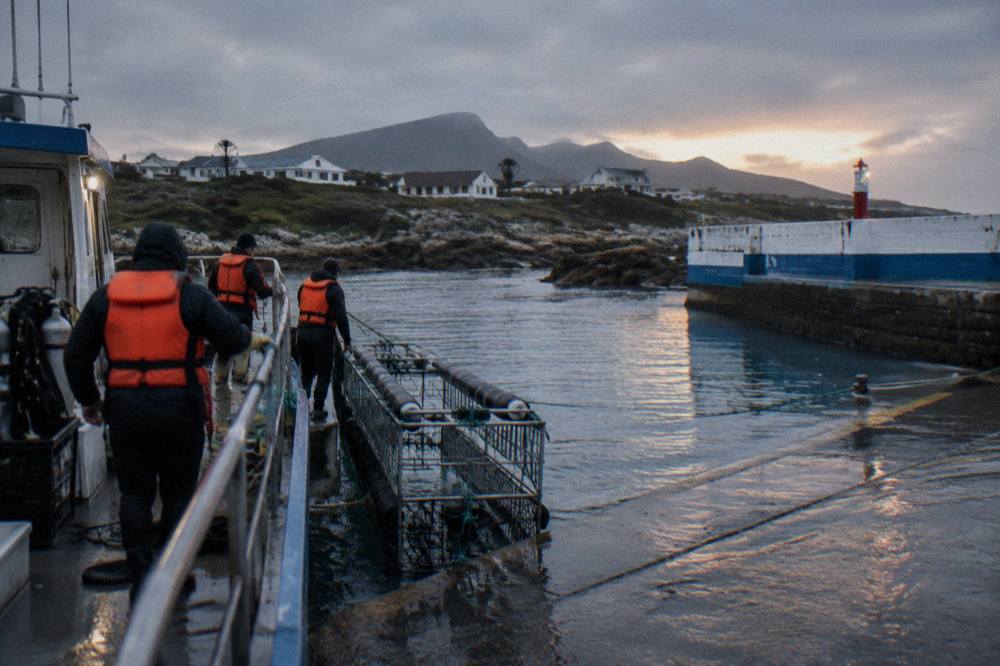 A shark cage tied alongside a dive boat with crew members standing on the deck in life jackets
