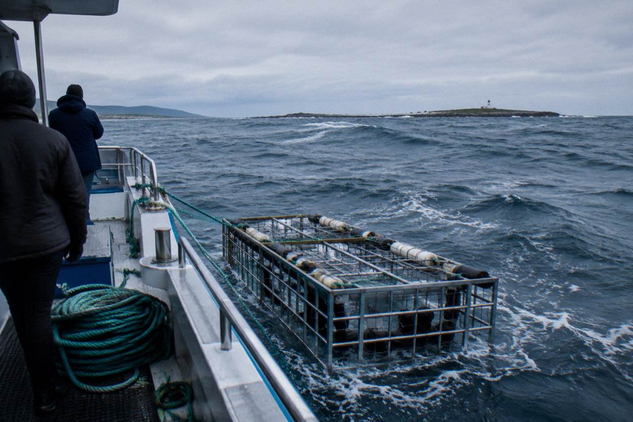 A steel shark cage floating beside a dive boat in open water near Gansbaai