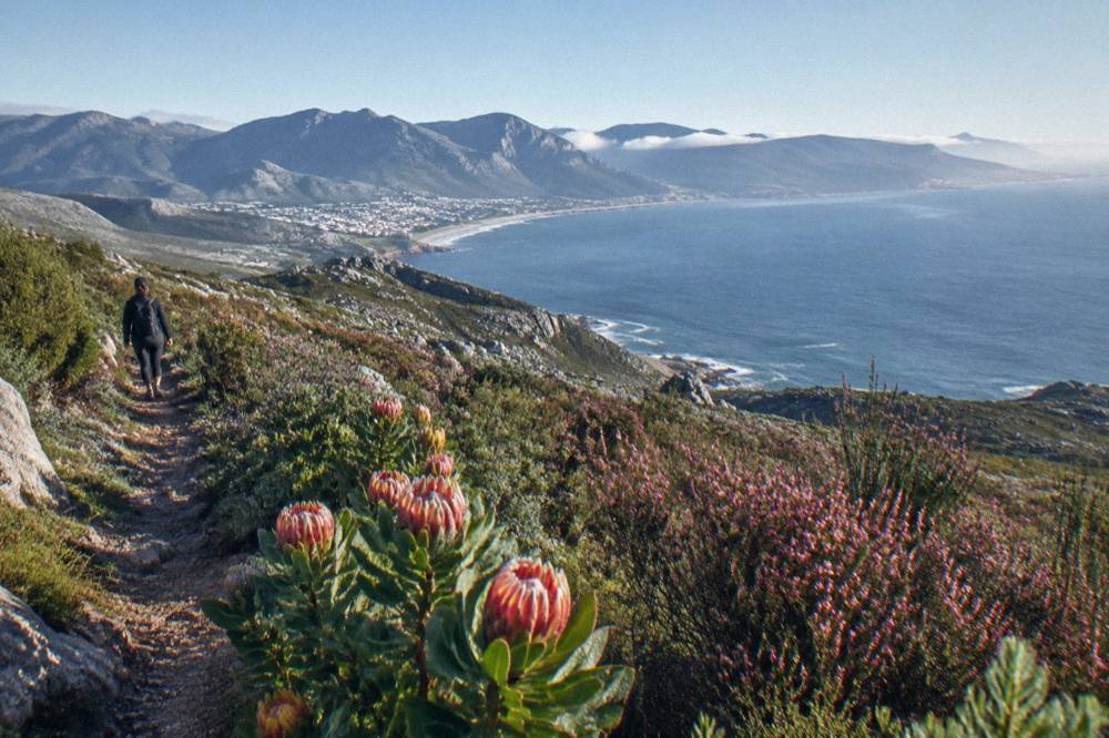 Mountain fynbos slopes overlooking a wide coastal bay