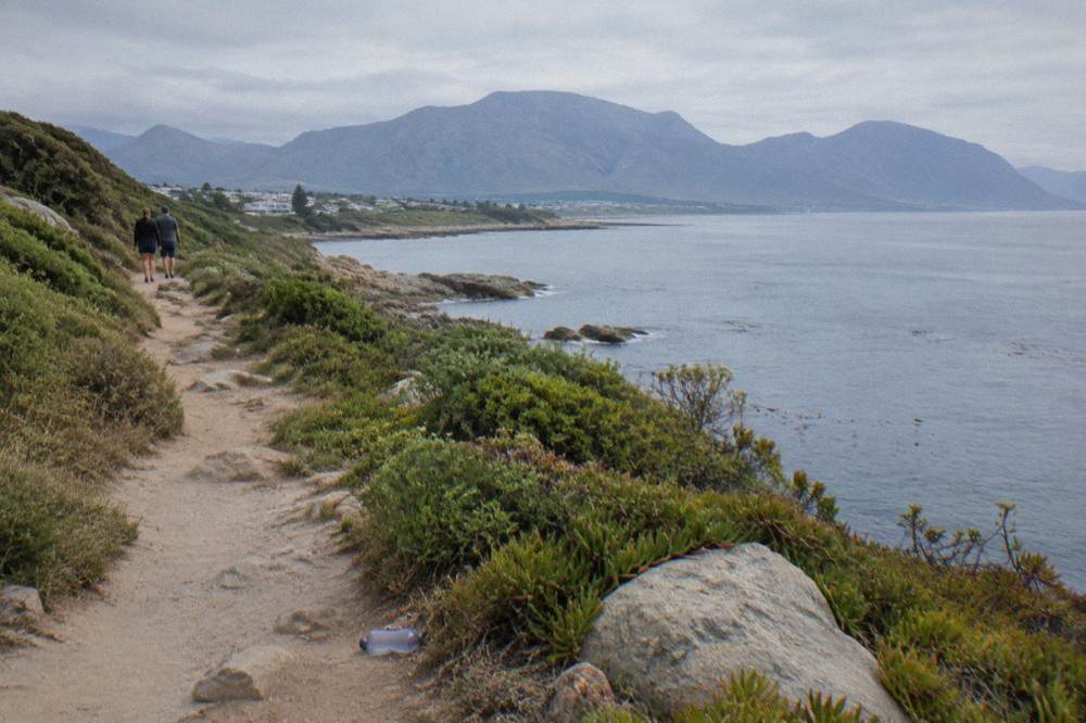 Walking trail along a low coastal cliff with distant mountains