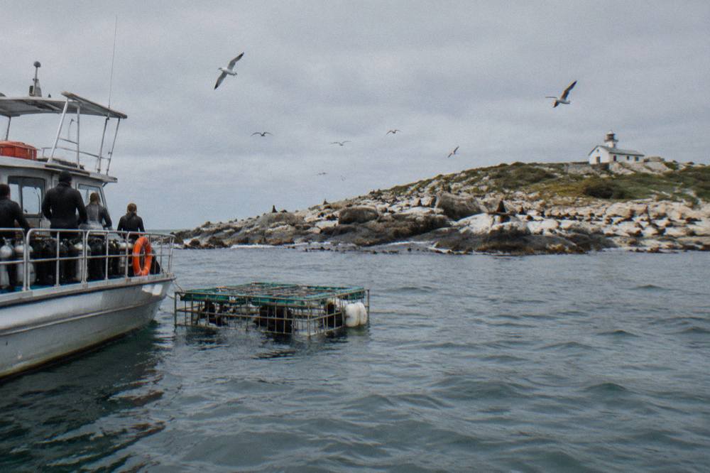 A dive boat anchored near a small island with a cage floating alongside in calm grey-green water
