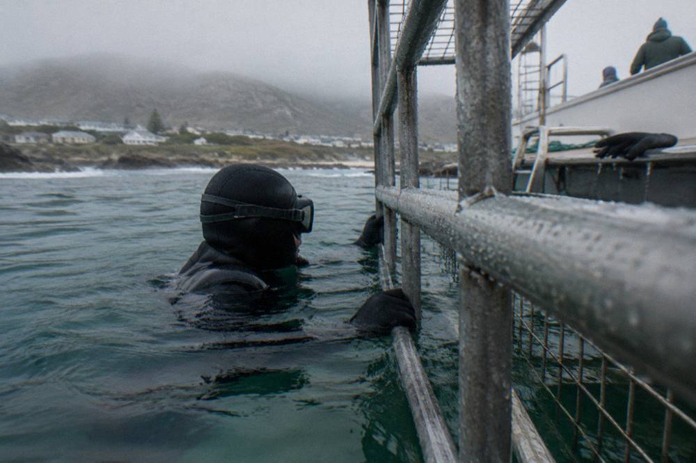 A diver in a dark wetsuit gripping the bars of a surface cage in green ocean water