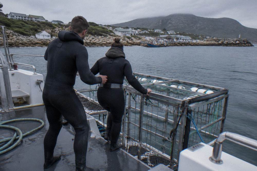 Crew member in wetsuit assisting a passenger beside a shark cage on a boat deck