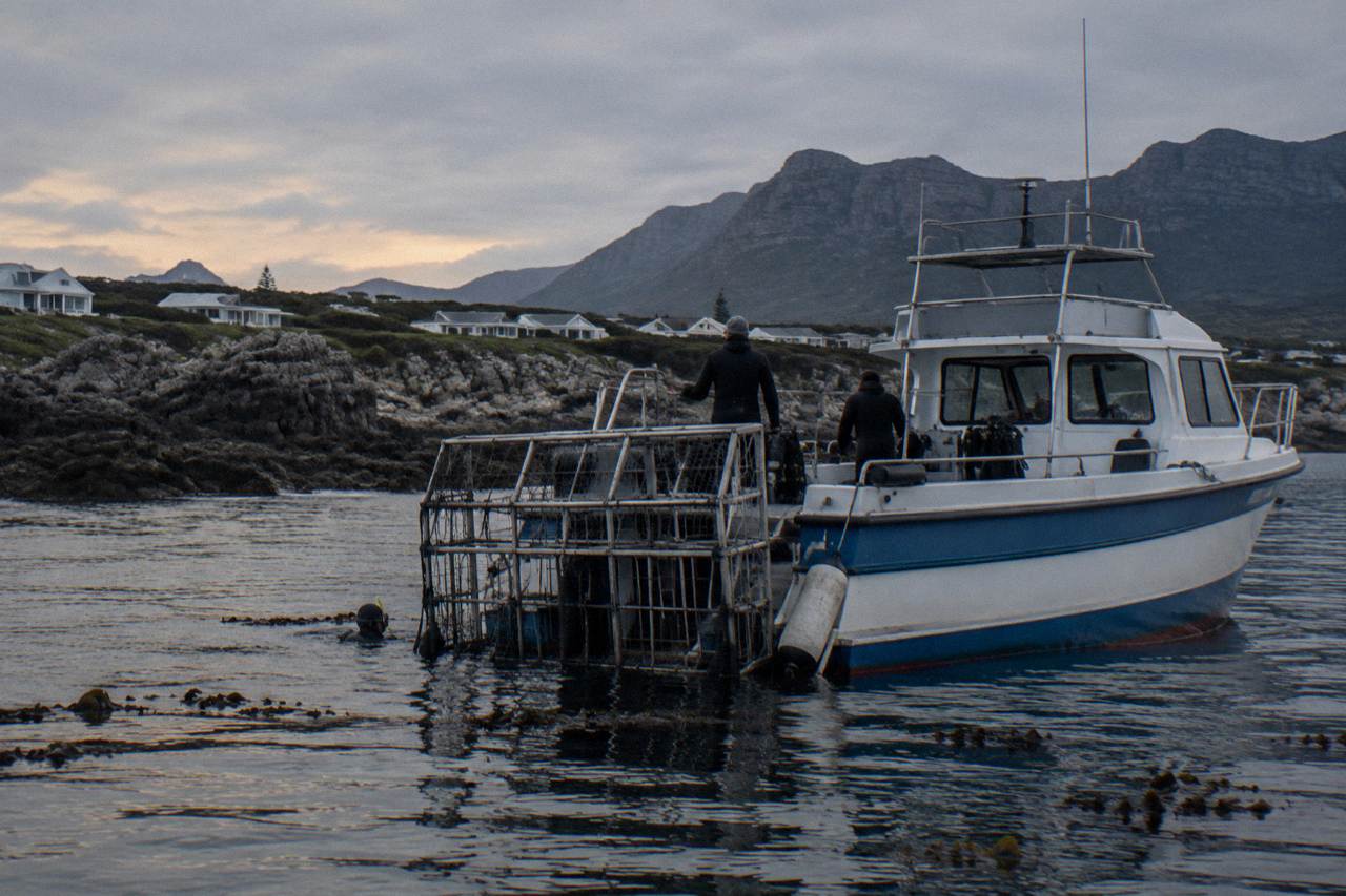 A shark diving boat anchored near rocky coastline in calm grey sea