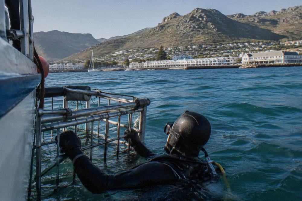 A diver in a wetsuit holding the bars of a surface cage beside a boat