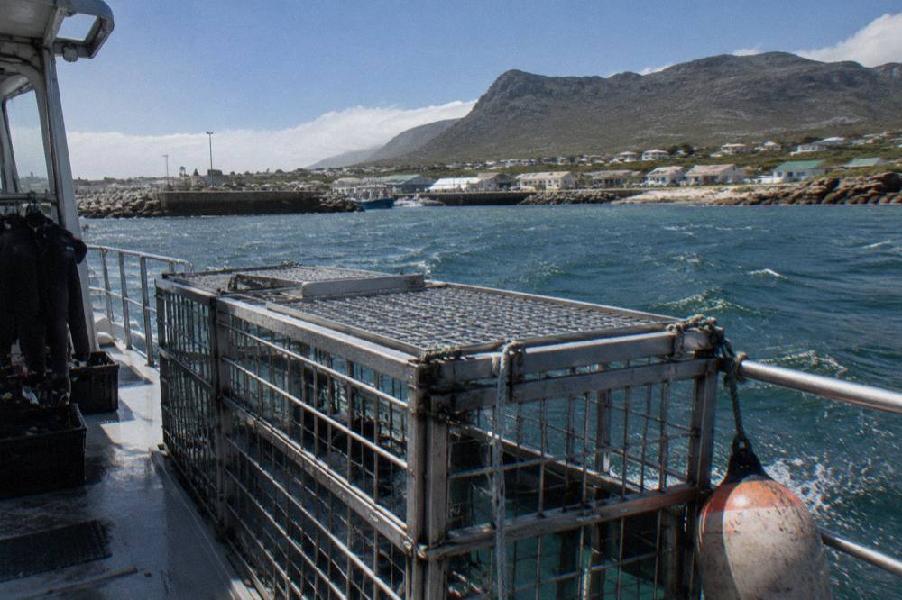A welded steel shark cage with a secure lid viewed from a dive boat deck