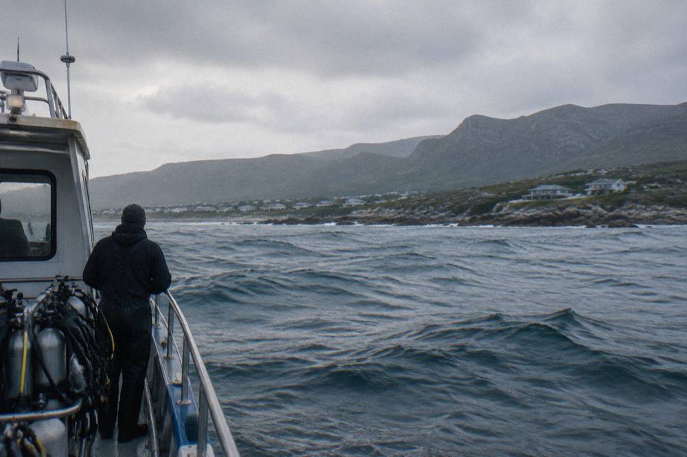 A dive boat anchored in open water off the Gansbaai coast with swell rolling past