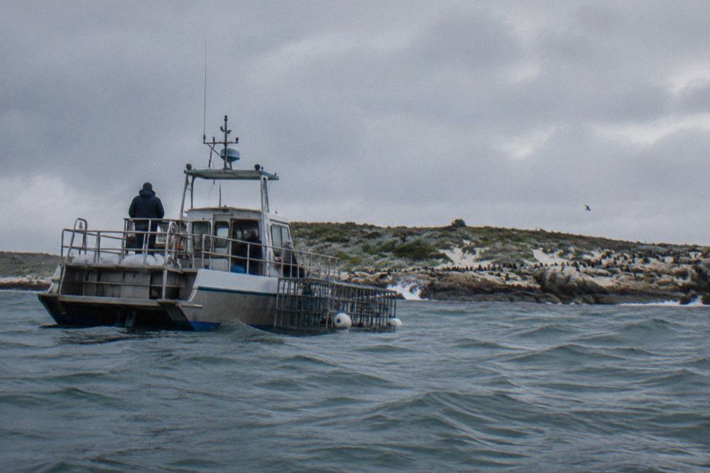 A commercial shark cage diving boat anchored near Dyer Island on a choppy morning with overcast skies and no visible sharks