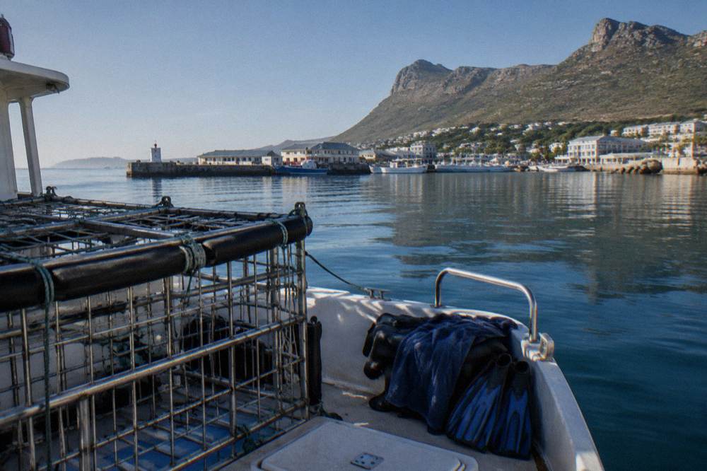 A tourist boat with a secured shark cage off the Simon's Town coast in calm water under a blue sky