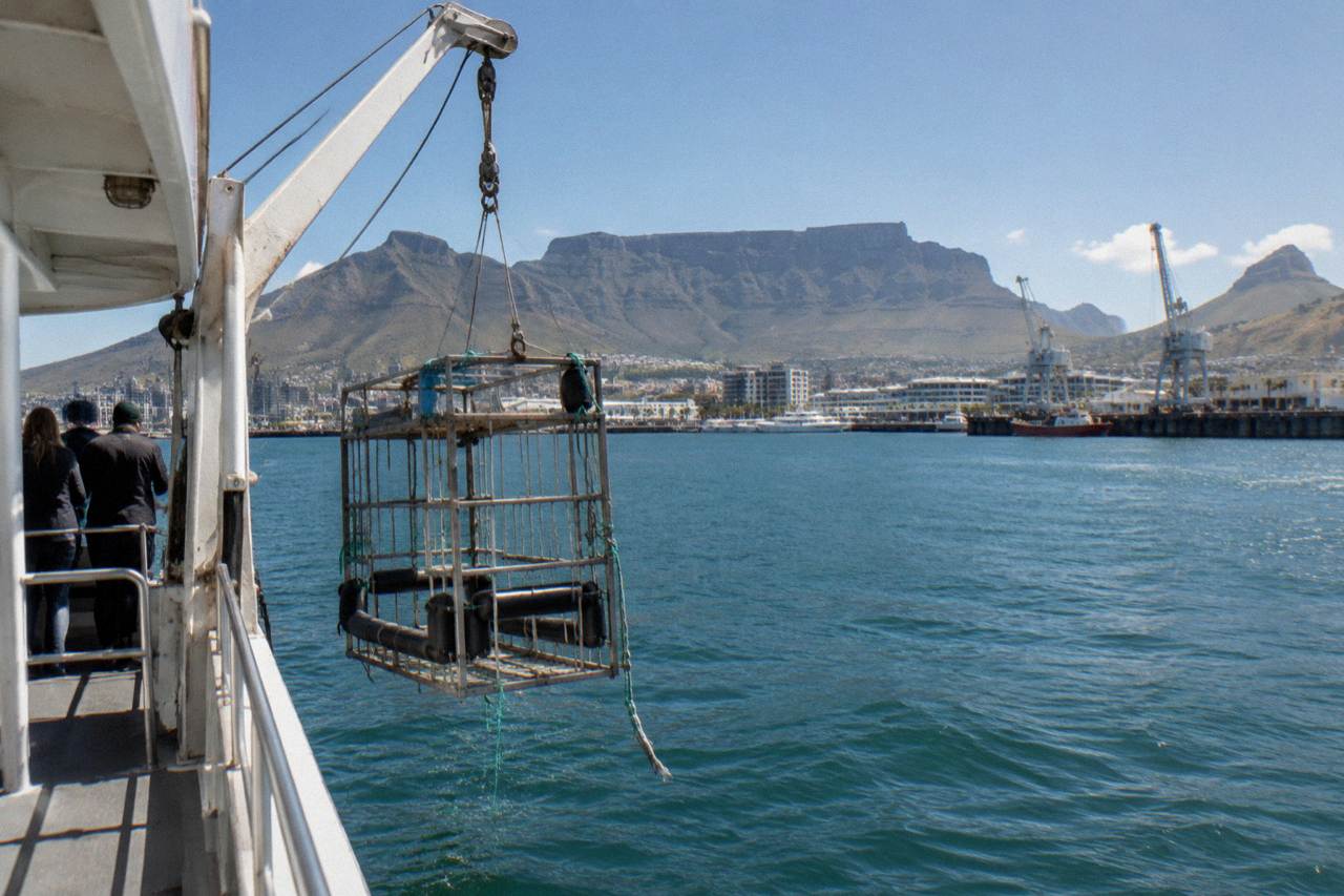 A dive cage suspended from a tour boat on a clear day off the Cape Town coast