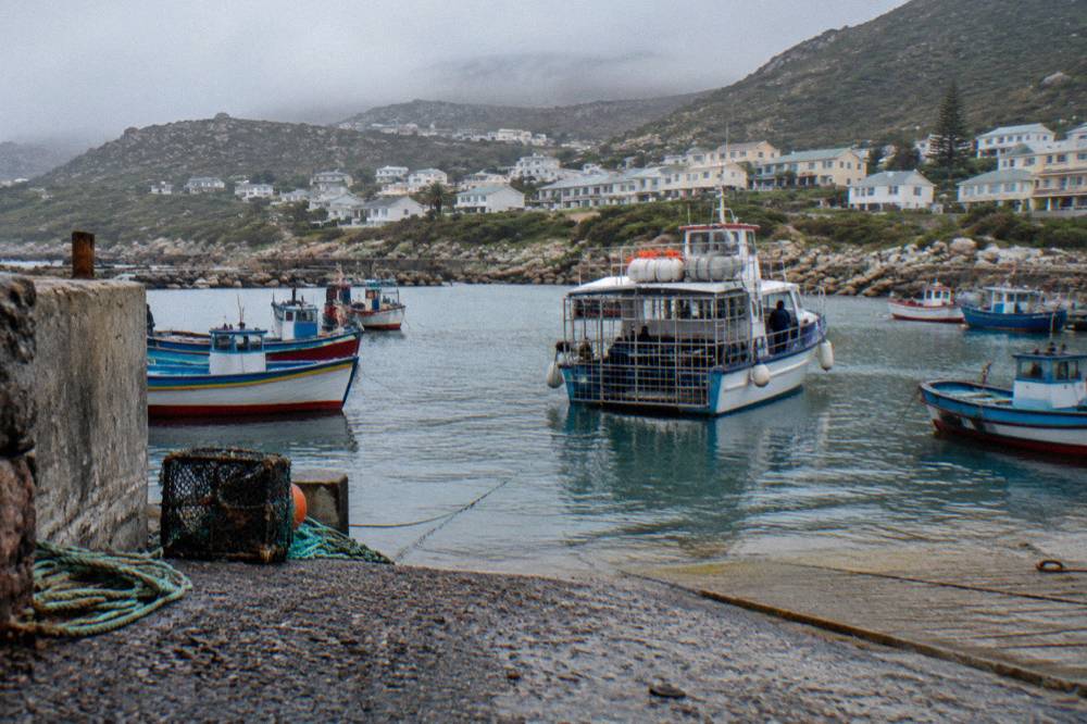 A cage diving boat moored in a small harbour with fishing boats and coastal hills behind it