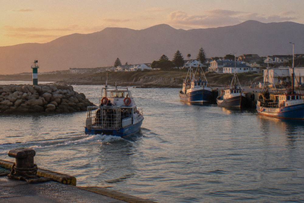 A shark cage diving boat returning to a small harbour at golden hour with mountains behind