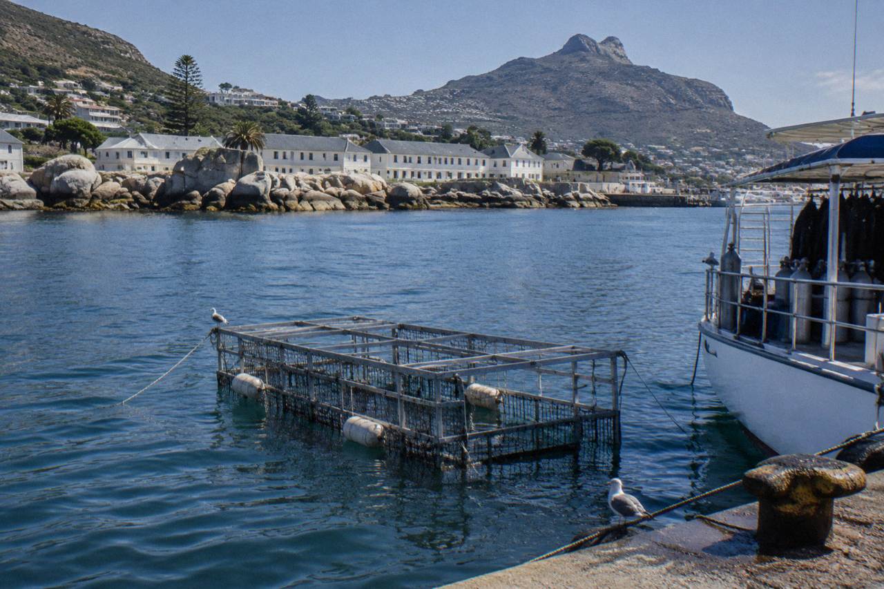 A steel shark cage floating beside a dive boat in cool Atlantic water near a rocky coastline
