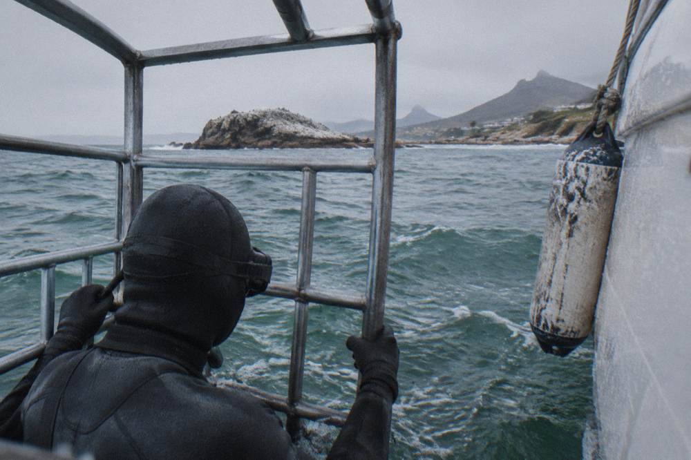 A diver in a hooded wetsuit gripping the bars of a steel shark cage beside a boat hull