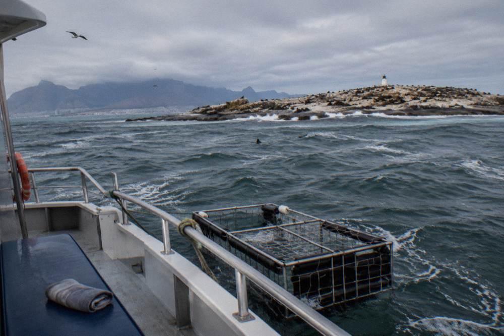 A dive boat anchored in open water with a steel shark cage floating beside its stern