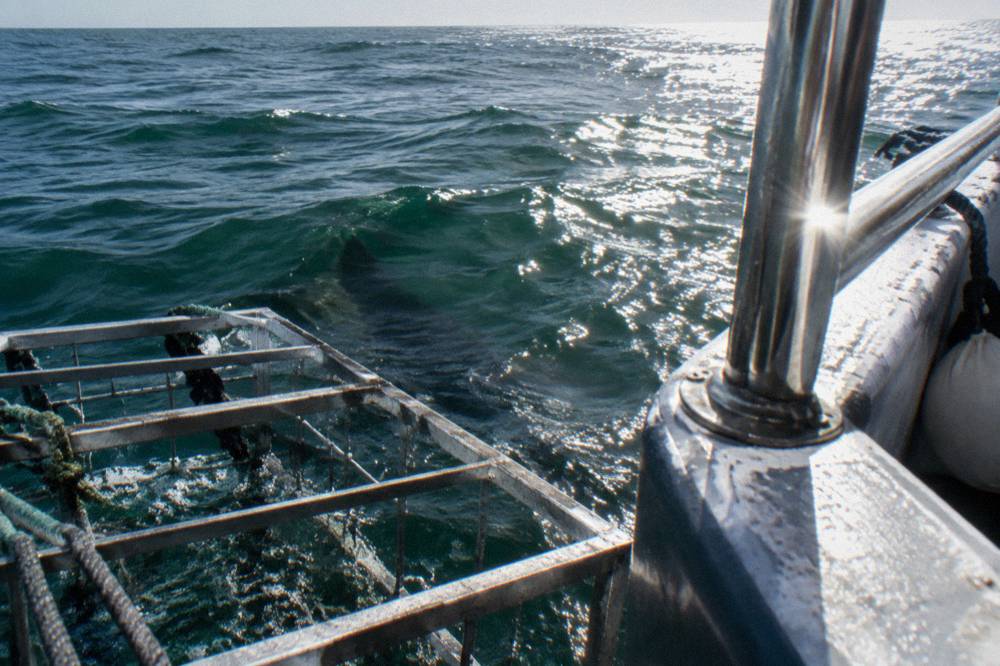 Sunlight glinting off the surface of dark green ocean water beside a moored dive boat