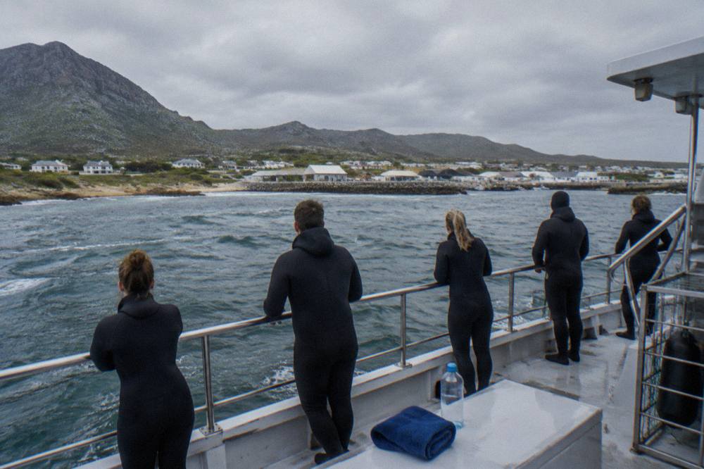 A shark cage diving boat at anchor with passengers standing along the rail in the open air