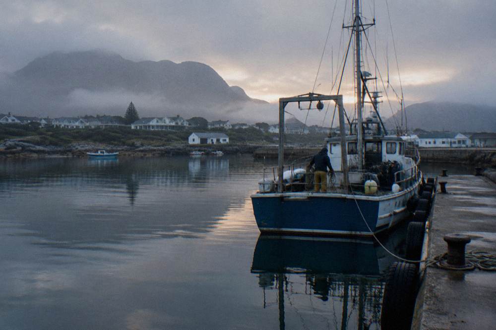 A sheltered harbour at first light with a shark diving boat moored beside the quay