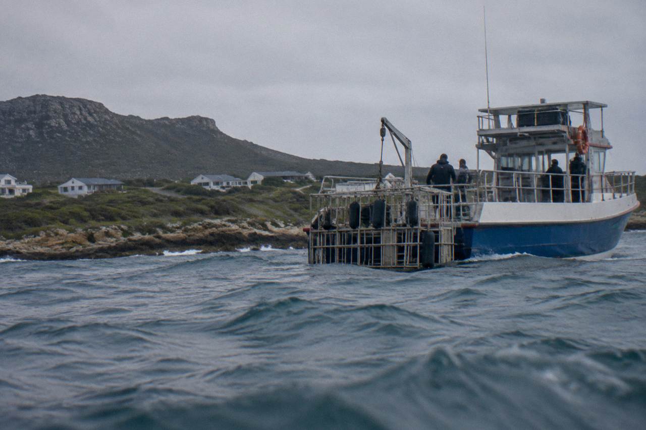 A shark cage diving boat anchored near a rocky coastline under an overcast sky