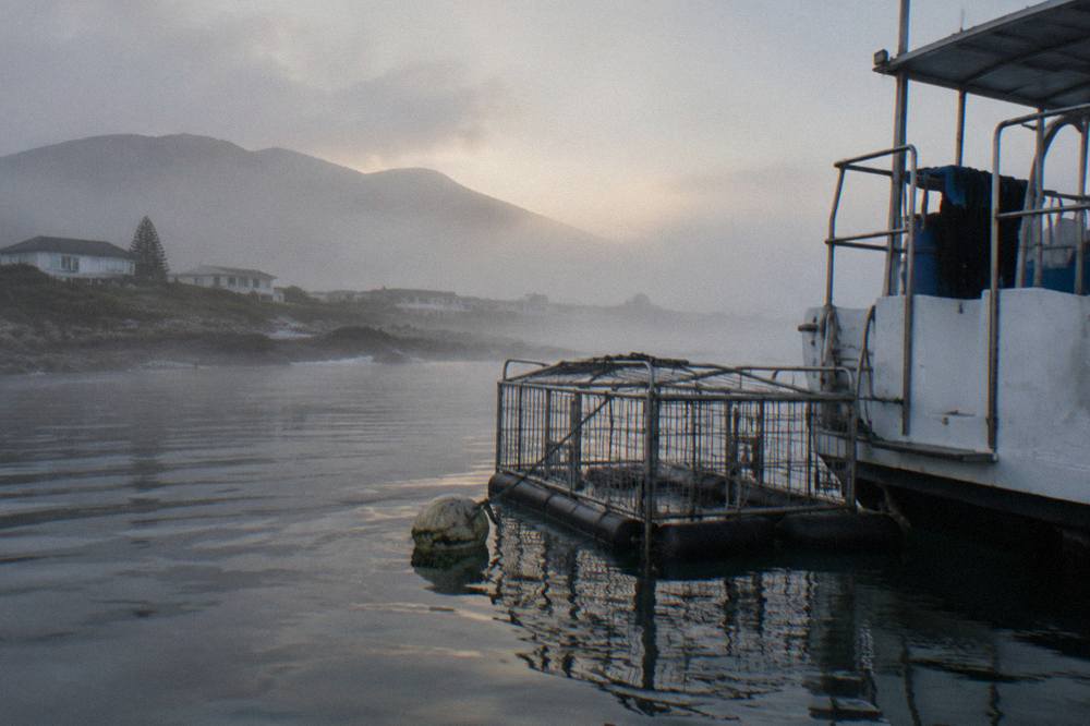 A shark cage moored beside a boat in a sheltered harbour with mist over the water