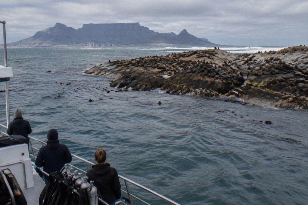 A dive boat anchored near a seal colony on a rocky coastline under grey sky