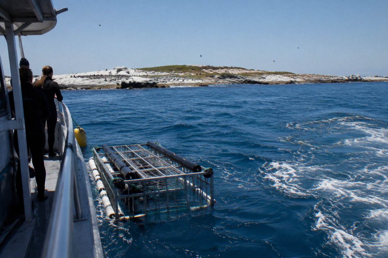 A shark cage floating beside a dive boat in open ocean near a rocky island