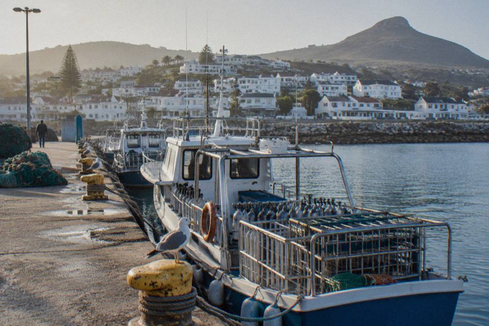 A harbour town with shark dive boats moored at the quay in morning light