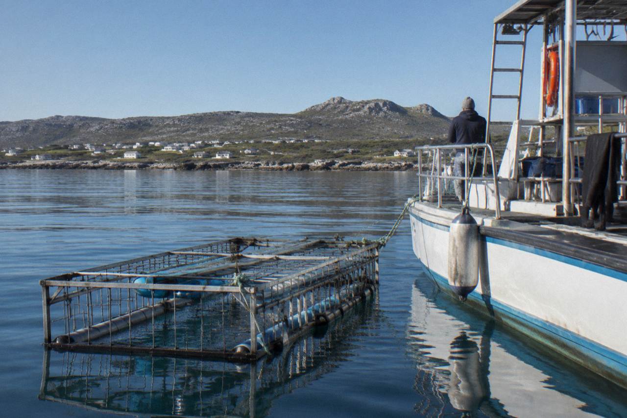 A shark cage floating beside a dive boat in calm South African coastal water