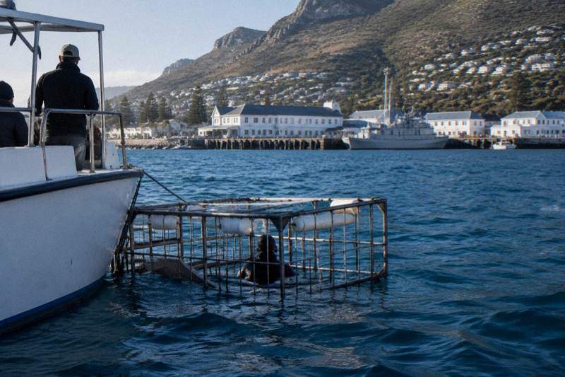 Blue-water cage diving in False Bay near Simon's Town, South Africa, with the shark cage floating alongside an unbranded dive boat