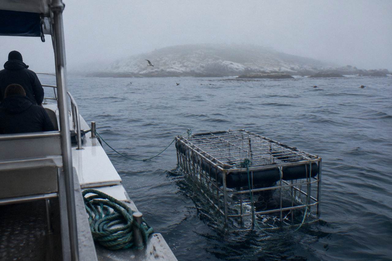 A shark cage floating beside a dive boat near Dyer Island on an overcast morning