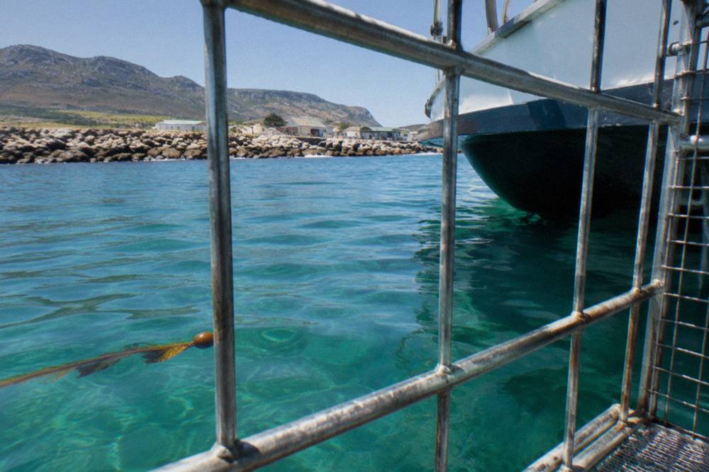 Clear blue water seen from a shark cage beside a diving boat