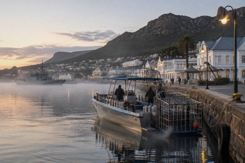 Coastal harbour at dawn with a shark diving boat preparing to launch