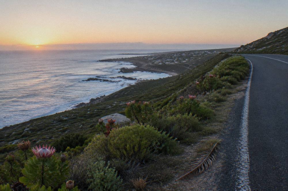 Empty coastal road curving along a cliff above the sea in early morning light