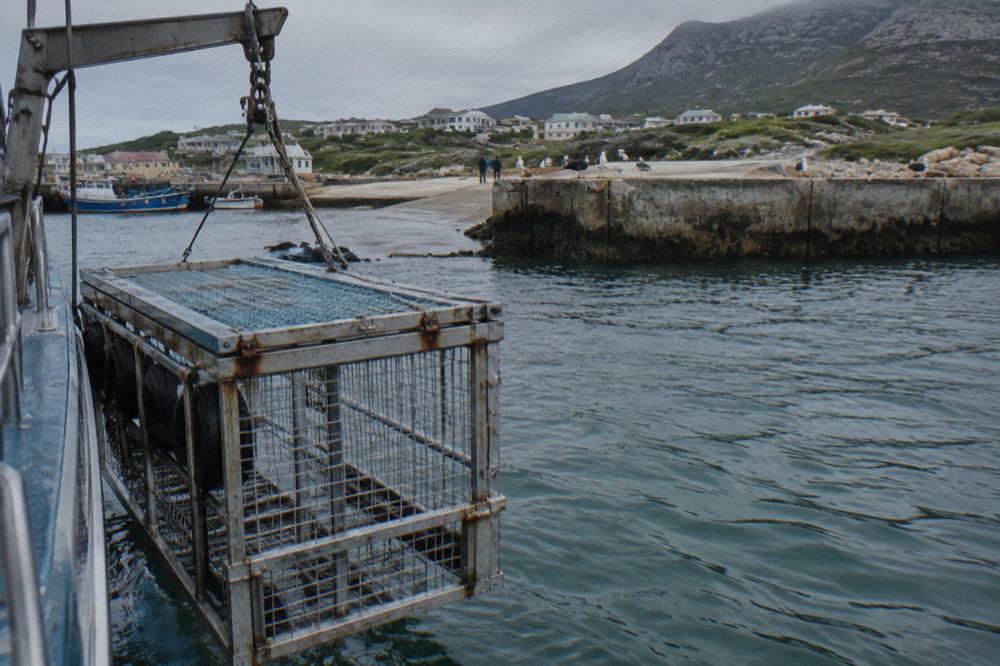 A welded steel shark cage with a closed lid floating beside a moored dive boat