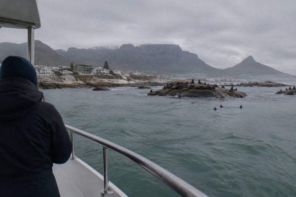 A shark cage diving boat at anchor in open ocean water with a grey overcast sky