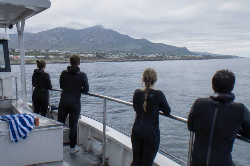 Guests in wetsuits standing along the open deck of a shark diving boat on a calm grey sea