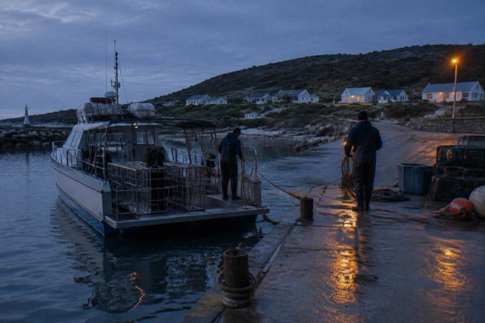 A small harbour at first light with a shark diving boat preparing to launch