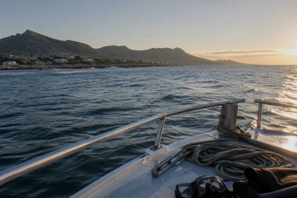 Open ocean horizon seen from the deck of a boat with morning light on the water