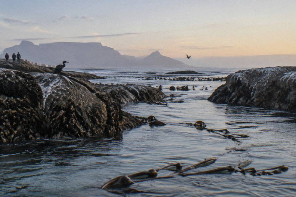 A narrow shallow channel of water between two low rocky islands