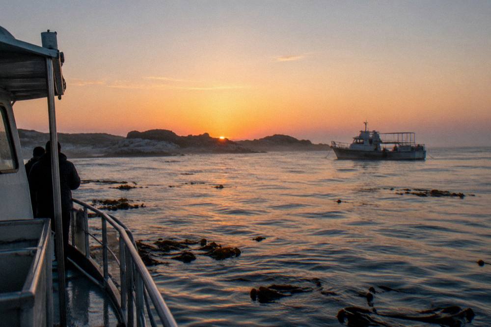 A shark diving boat anchored near rocky islands in early morning light