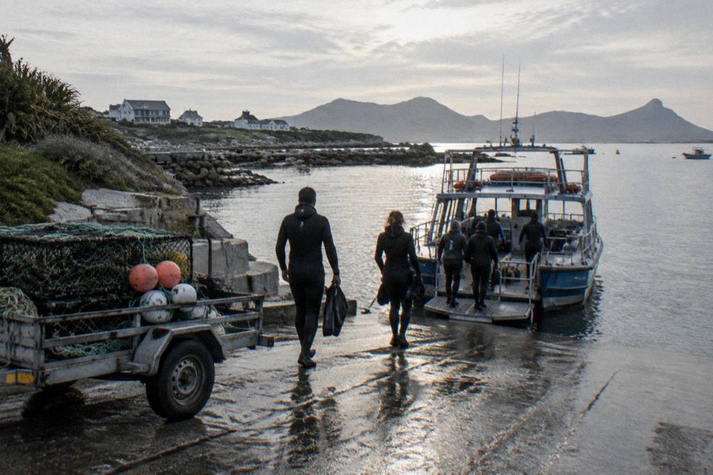 Harbour slipway with a shark diving boat and passengers in wetsuits preparing to board