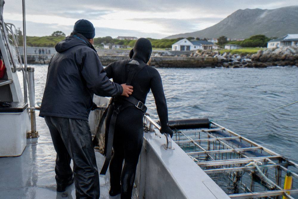 A dive crew member helping a guest in a wetsuit prepare to enter a shark cage