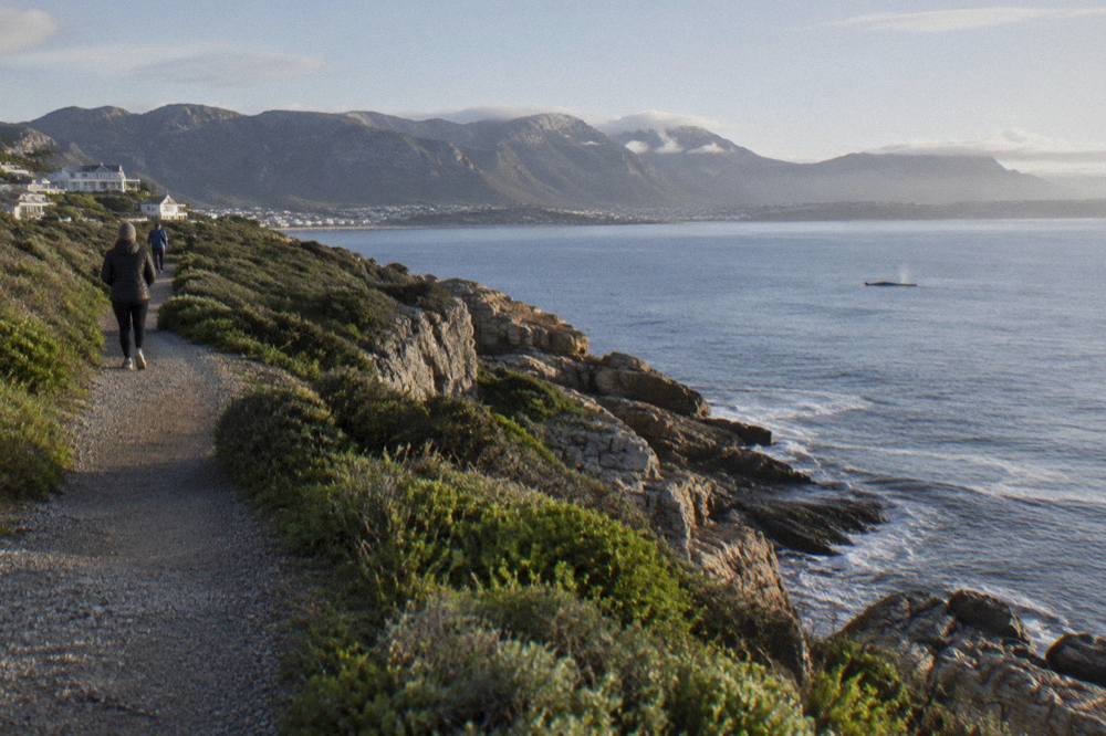 Gravel cliff path along a green coastline overlooking a wide calm bay