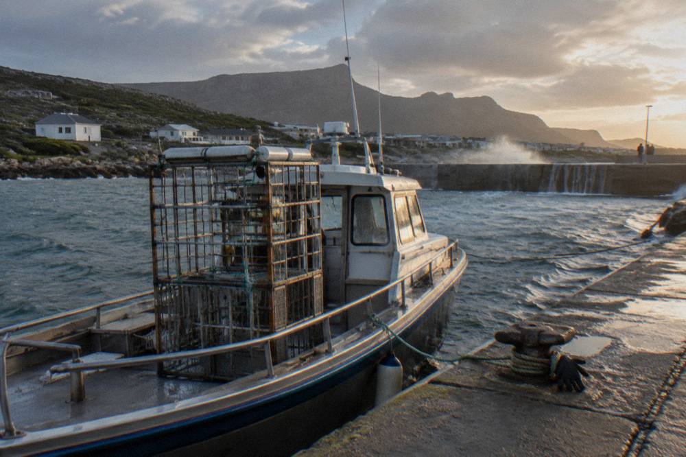 A shark cage diving boat moored at Kleinbaai Harbour with a metal cage on deck.