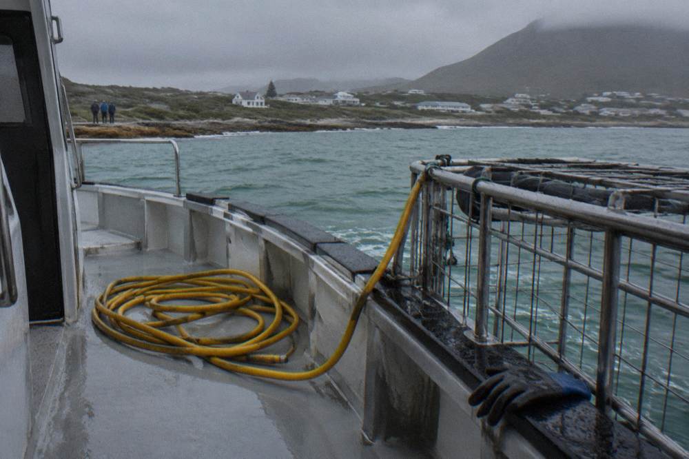 A yellow air hose coiled on the deck of a shark diving boat beside the cage